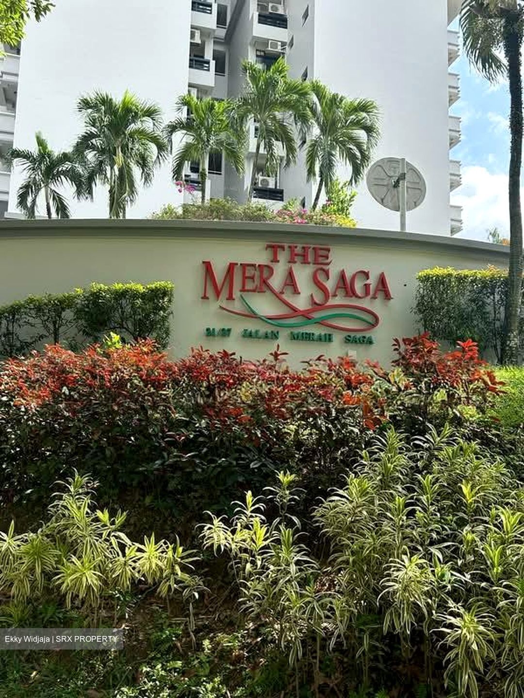 The Merasaga (D10), Condominium #567664881